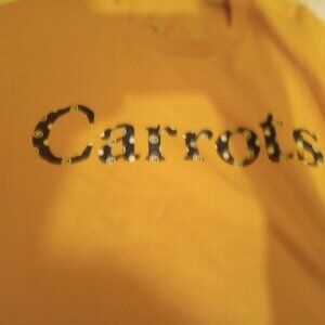CARROTS by Anwar XXL LS Orange Shirt like New Designer